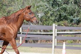 LR-WRF 10182025 Retreat-6480